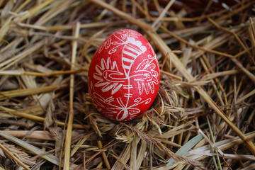 easter egg in a nest