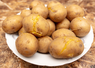 Boiled potatoes in a plate on the table
