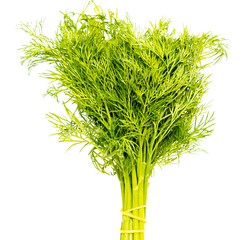 Green bunch of dill on a white background