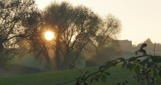 Sunset near Hardwick Park, Derbyshire, England, United Kingdom, Europe  