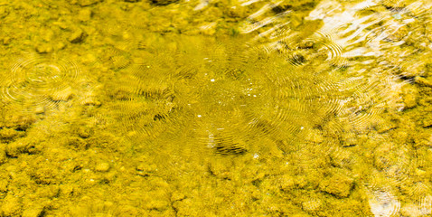 Circles on the surface of the reservoir as a background