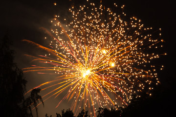 Obraz premium Beautiful colourful fireworks for celebration on black background. New Year and holidays concept