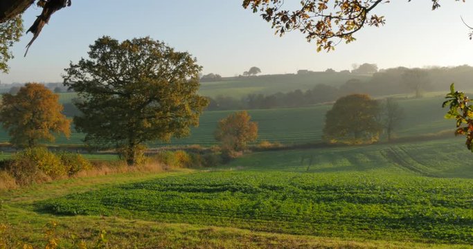 Autumn colors near Hardwick Park, Derbyshire, England, United Kingdom, Europe