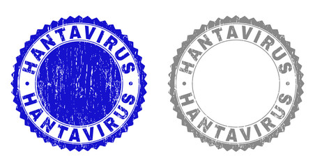 Grunge HANTAVIRUS stamp seals isolated on a white background. Rosette seals with distress texture in blue and gray colors. Vector rubber stamp imitation of HANTAVIRUS text inside round rosette.