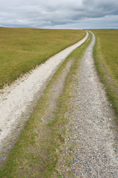 Path Across a Countryside Grassland