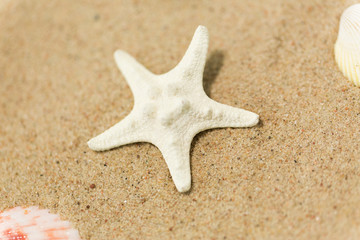Fototapeta na wymiar vacation and summer holidays concept - starfish on beach sand