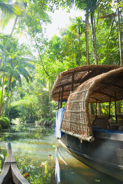 Boat in the Jungle