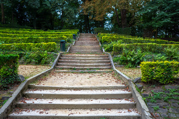 Old stairs in the park