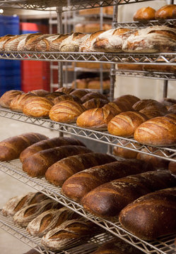 Loaves of Bread at a Bakery