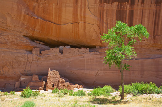 Indian Cliff Dwellings