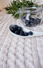 Blueberries with fern leaves
