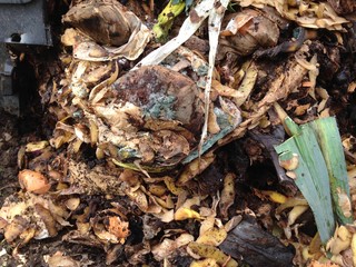 compost de jardin, détritus ménagers pour engrais naturel de recyclage