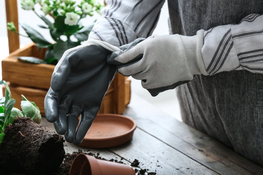 Woman Repotting Fresh Plant At Table