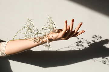 Female hand with white flowers on light background