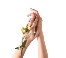 Female hands with beautiful flowers on white background