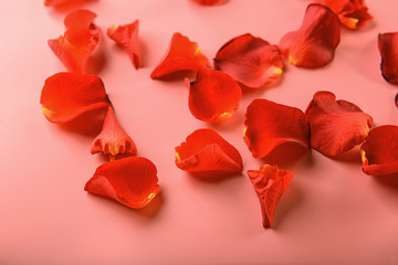 Scattered flower petals on coral background