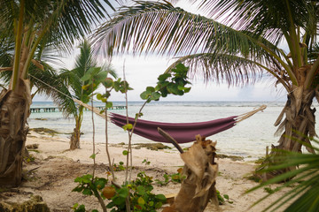 chill tropical island andrelacsation on hammock