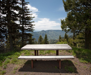 Picnic Table