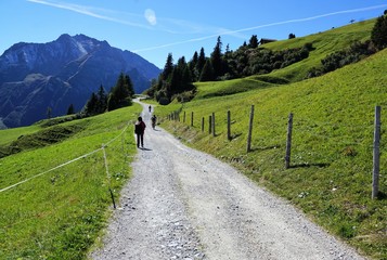Fototapeta na wymiar Pfad in Zillertal in Österreich