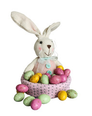 Fototapeta na wymiar Bunny with easter eggs