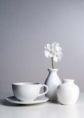 White still life.