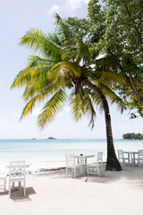 Fototapeta premium Tropical landscape at Praslin island, Seychelles