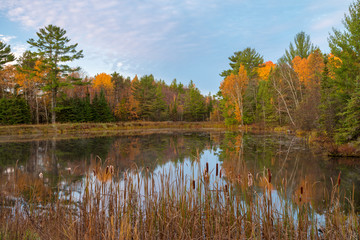 fall trees reflecting in lake 