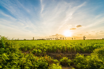 Thailand's Countryside18