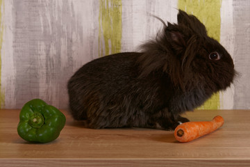 When it comes to rabbit nutrition, it seems like they have a green thumb – or should we say a green paw?