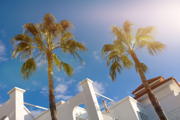 Palme for Haus und blauem Himmel im Urlaubsresort