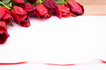  Tulips on a white background with red ribbon, spring