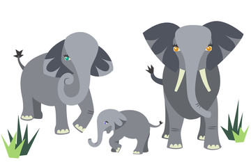 Mother, Father, and Baby Elephant Family in the Wild