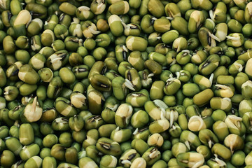 green mungo in a bowl