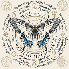 Illustration of a Papilio machaon butterfly with pale wings on an old abstract background with magical inscriptions and symbols. Vector banner in retro style © paseven