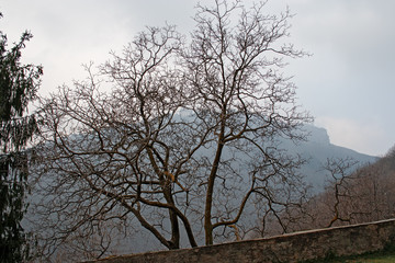 Panoramic view of Monte Campo dei Fiori in Varese, Italy.