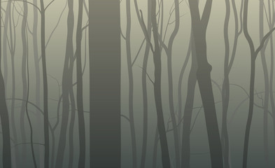 Forest silhouette background