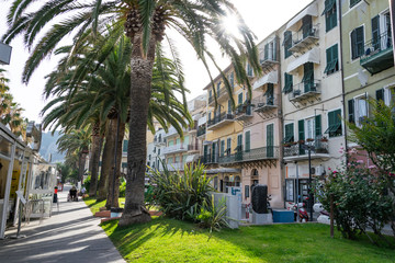Palmen Allee at Italy's most beautiful beach