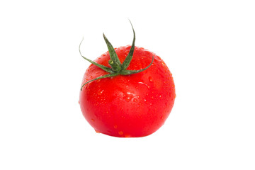 Tomato on a white background