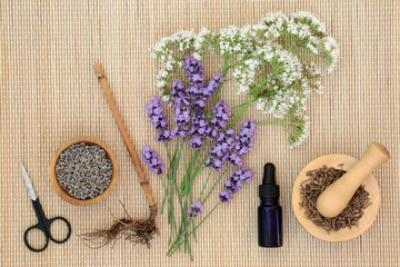 Lavender and valerian herbs & essential oil bottle on bamboo background. Used in alternative & traditional herbal medicine to improve mood, help depression, reduce stress & insomnia.  