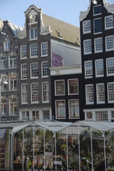 Obraz premium amsterdam city coffeeshop