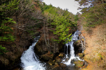 Obraz premium The water falls Ryuzu the Oku-Nikko in national park,nikko Japan