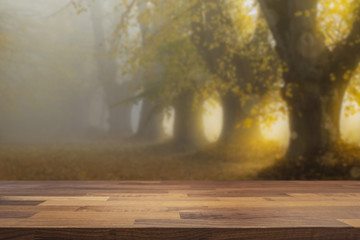 Empty table top for product display montage. Sunny trees and foggy landscape blurred in the...