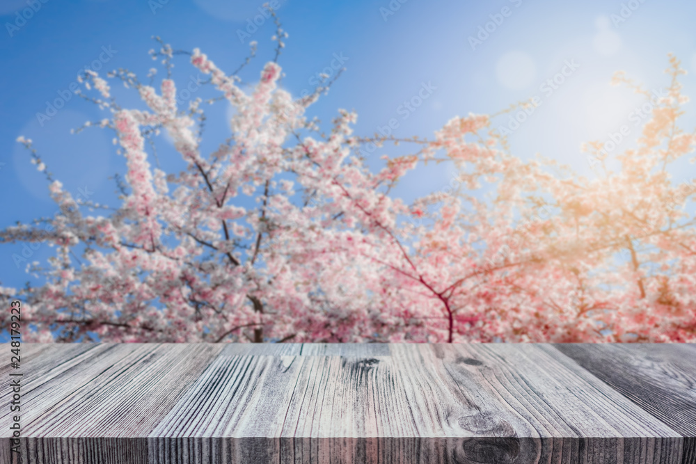 Wall mural empty table top for product display montage. cherry trees in bloom, springtime blurred in the backgr