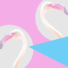 pop art collage pink isolated flamingo, minimal pastel trendy contemporary mood