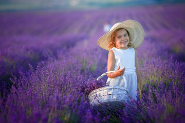 five years old Cute girl walking in lavender field dressed in white dress and hat.Lavender bouquet.