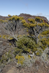 reunion island nature mountain