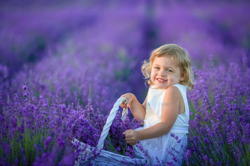 Cute curly young girl standing on a lavender field in white dress and hat with cute face and nice hair with lavender bouquet and smiling.