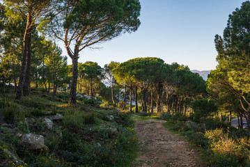 Fototapety na wymiar - Fototapeta24.pl