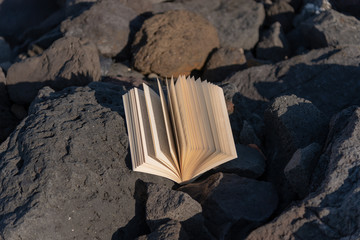 libro