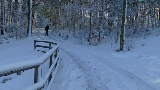 Winterlandschaften, Menschen und Tiere in Bayern
